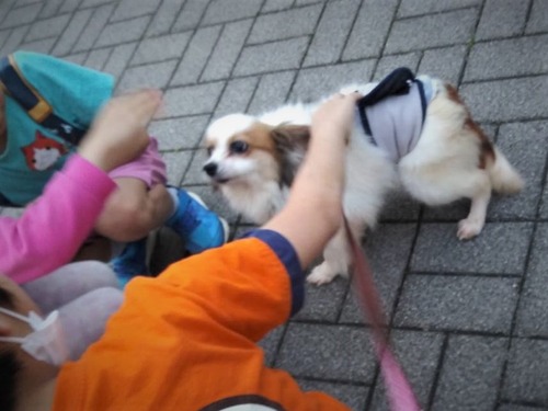 2021(R3)-5-4 ��̱�����ѥ��ˤ� (8)