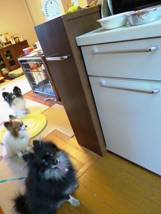 2018(H30)-2-2 ドヤ顔? (8)