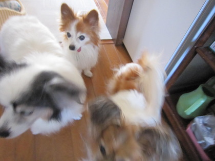 ī���Ϥ� (5)