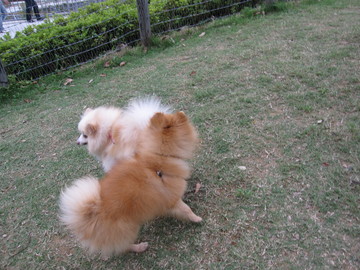 �ߥ�ƥ�����