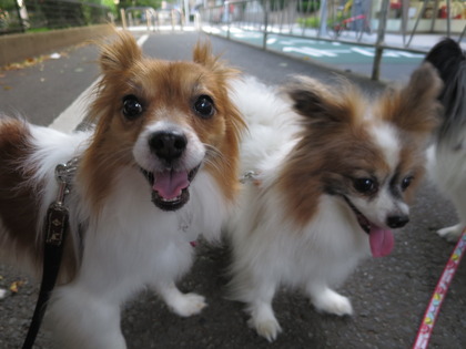 2018(H30)-7-18 İ˥å (11)