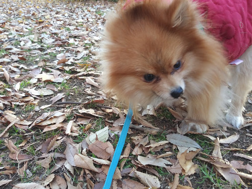 2020(R2)-12-22 դζ 03