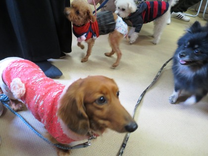 2018(H30)-1-20 第36会巣鴨里親会 (4)