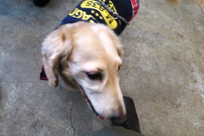 2016(H28)-12-10 第23回里親会・白金台 (18)