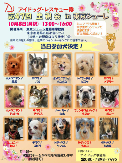 ���塼�컲�ø��ɲ�