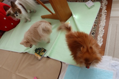 2021(R3)-1-29 �Ρ������ (3)