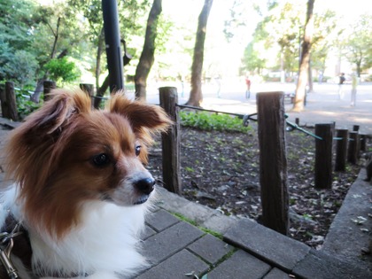 2018(H30)-6-30 ���������˥å���ī���� (3)