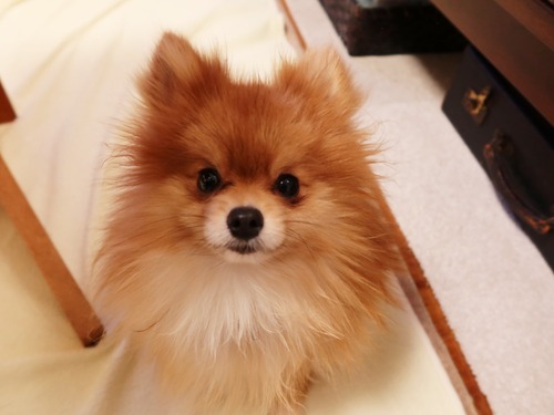 2021(R3)-2-24 仮ママ何食べてるですか? (2)