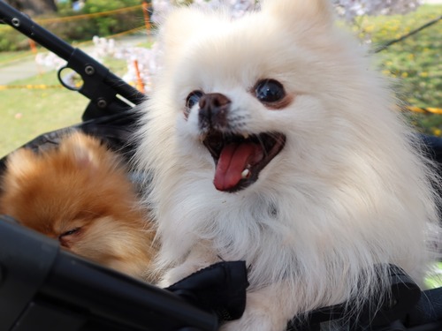 2021(R3)-3-27 3ǯΩκ (25)