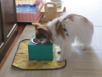 ī���Ϥ� (2)