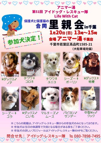 千葉里親会参加犬