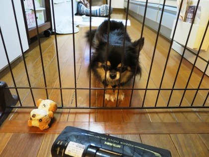 2018(H30)-2-27 ݽȳƮ (6)