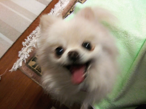 2021(R3)-1-28 ����3ǯ������� (11)