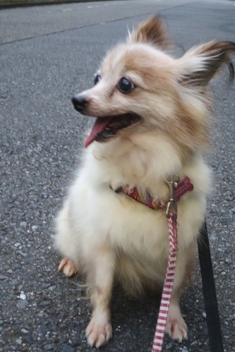 2020(R2)-7-16 ˥˥ŷ (15)