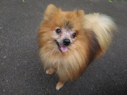 2016(H28)-9-10 ��������ī�� (3)