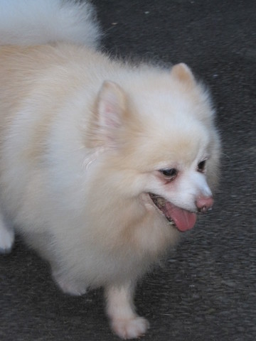 ���Ƥ�������