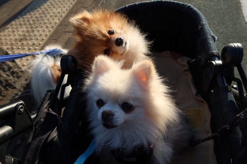 2021(R3)-1-14 ������Ȱ��� (2)