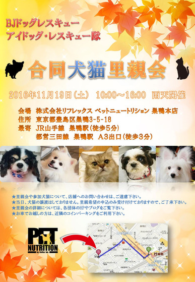 Reflex��ǭΤ�Ʋ�161119