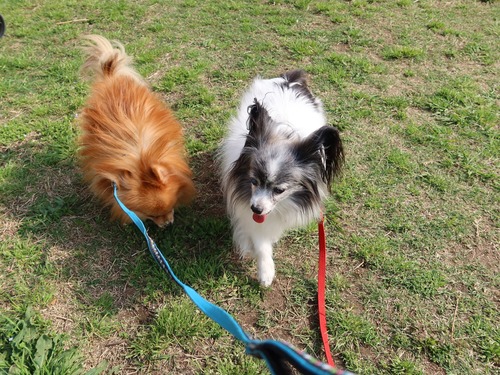 2021(R3)-4-1 ̱Ҷ̻ (26)