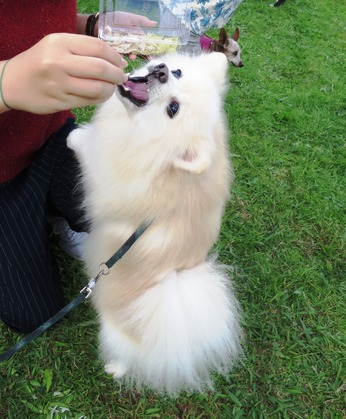 2017-11-3 卒オフ会 (47)