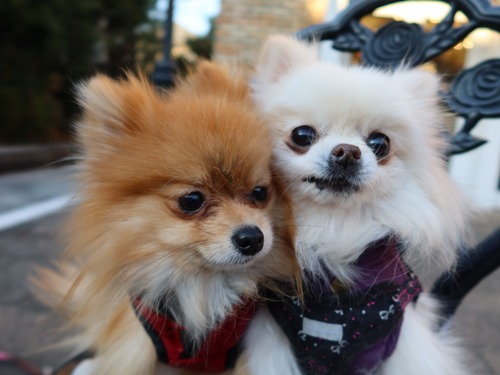 2021(R3)-1-21 ��ͳ���� ��������� (3)