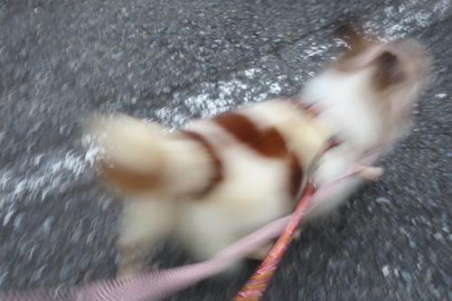 2020(R2)-7-16 ˥˥ŷ (6)