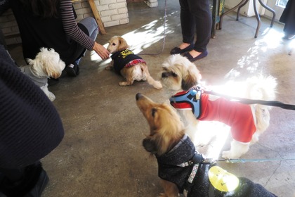 2016(H28)-12-10 第23回里親会・白金台 (7)