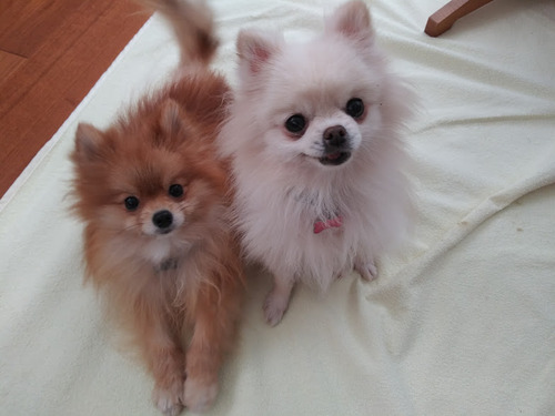 2020(R2)-11-28 īӤθ (2)