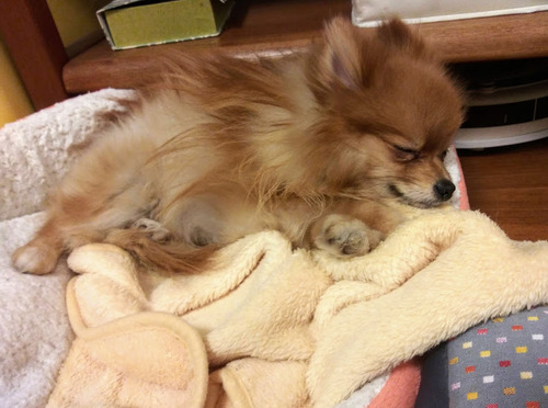 2021(R3)-1-20 �ߥ����ο���� (3)