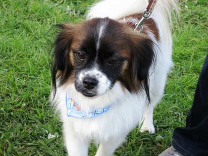 2017-11-3 卒オフ会 (41)