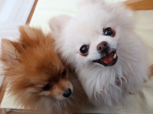 2021(R3)-2-25 ママがご飯の最中は (6)