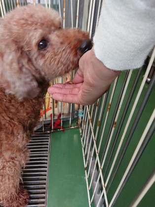 �ߥǥ�����ס��ɥ� 02