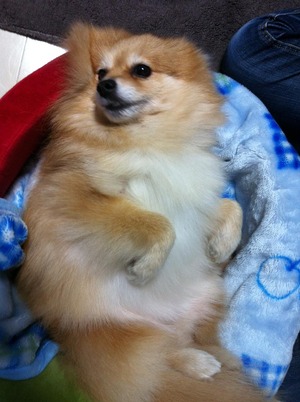 トライアル6・7日目