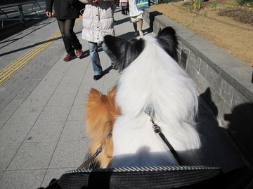 ������뤵��ء���