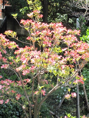 �ȥ饤����