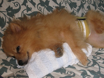 �������Υ󡡣�