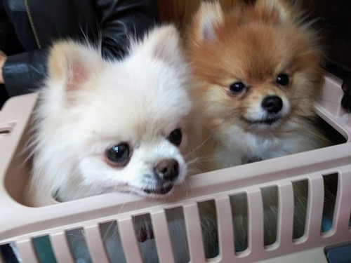 2020(R2)-12-27 ǯƤ̱ (2)