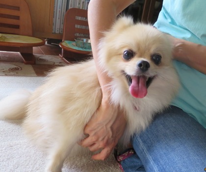 2017(H29)-7-3 �ť��� (1)