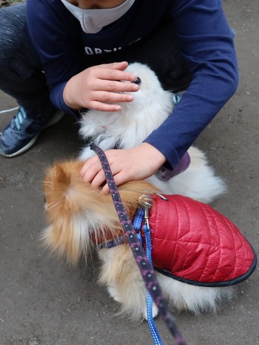 2020(R3)-3-9 すずめのお宿へ (22)