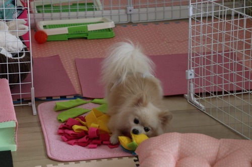 2020(R2)-5-10 �ȥ饤����3���� (1)