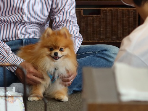 2021(R3)-4-4 åԡȥ饤 (33)