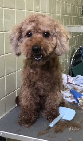 �ߥǥ�����ס��ɥ� 01