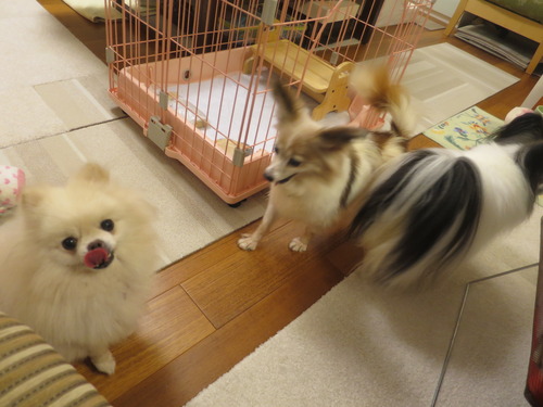 2020(R2)-9-1 ���14�� (16)