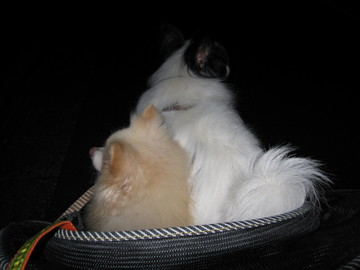 ��ͤ���ϡ���