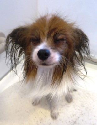 2014(H26)-7-17 �����ס� (3)