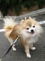 ○プロフィール
