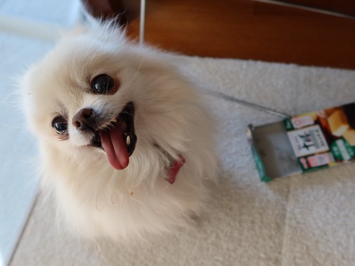 2021(R3)-1-29 �Ρ������ (22)