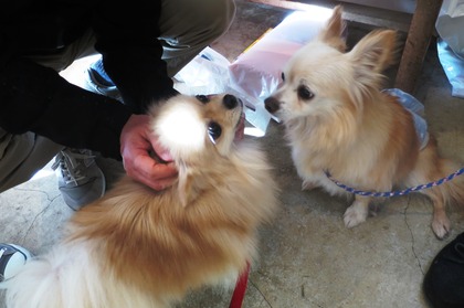 2016(H28)-12-10 第23回里親会・白金台 (30)