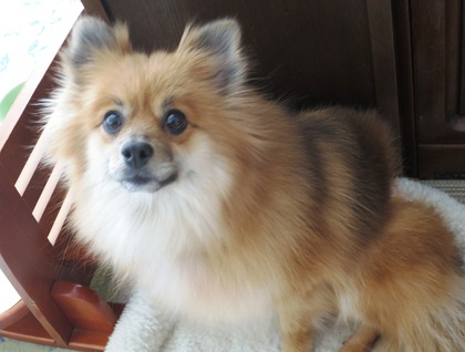 2019(H31)-1-2 退屈だぁ (4)