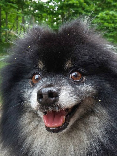 2021(R3)-6-3 家の子記念日散歩 (2)